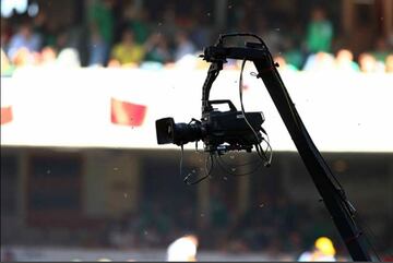 En duelo eliminatorio rumbo a Sudáfrica 2010, entre México y El Salvador, un panal de abejas anidó en uno de los postes de las porterías del Estadio Azteca, razón por la que se suspendió por unos minutos el encuentro. Los encargados del inmueble se encargaron de ahuyentarlas y el resto del duelo se desarrolló con normalidad.