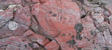 Descubren la forma de vida más antigua de la Tierra