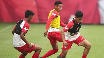 Perú jamás ha logrado clasificar al Mundial de la categoría y en esta ocasión tratarán de lograr el mejor puesto histórico en el Sudamericano Sub-20.