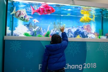 A young spectator admires robot fish.