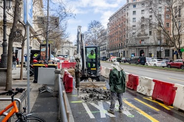 Se recuperará la doble alineación de arbolado original de la calle que desapareció a finales de los años 60 para la ampliación de la calzada