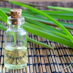 Qué es la citronela y cómo usarla para ahuyentar los insectos en verano