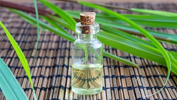 Qu¨¦ es la citronela y c¨®mo usarla para ahuyentar los insectos en verano