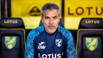 David Wagner regresa a Inglaterra con el Norwich City