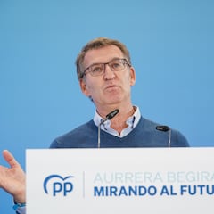 El PP pide tiempo para estudiar la ley de amnistía