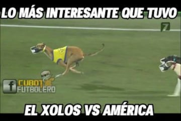 Xolos y América aburren, pero los memes no se quedaron dormidos