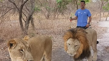 Koke Contreras, con dos leones.
