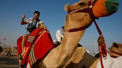 Gripe del Camello en el Mundial de Qatar: ¿Qué es y síntomas?