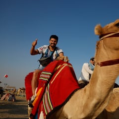 Brote de gripe del camello en el Mundial de Qatar: ¿Qué es y síntomas?