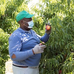 Rebrotes de coronavirus en España hoy, 24 de junio: dónde son y cuáles hay