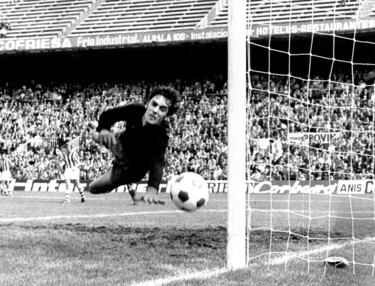 Jugó con la Real Sociedad de 1971 a 1975. Defendió la portería en 29 ocasiones. 