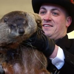 Muere la marmota Milltown Mel horas antes del ‘Día de la Marmota’