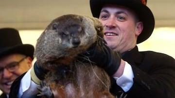 marmota milltown mel muerte redes sociales dia de la marmota suspendido supersticiones invierno primavera