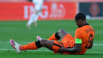 Wijnaldum, con Holanda.