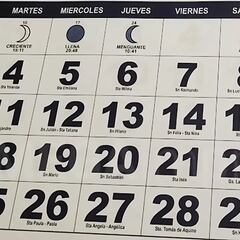 Descubre los feriados en octubre: fin de semana largo y festivos