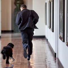Barack y Michelle Obama escriben conmovedora despedida a Bo, su perro