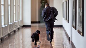 La mascota de la familia Obama muri&oacute; este 8 de mayo a los 12 a&ntilde;os a causa de un c&aacute;ncer, por lo que Michelle y Barack compartieron una conmovedora despedida.