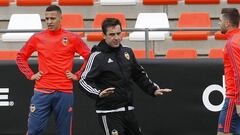 Crunch time for Gary Neville and Constantin Galca