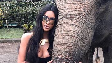 Las redes estallan contra Kim Kardashian por sus fotos con un elefante