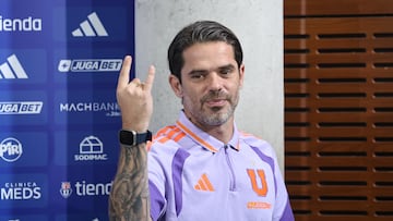La crisis que Gago viene a terminar