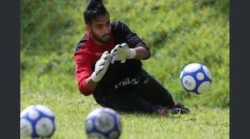 Carrillo inició su carrera en Estados Unidos a nivel colegial con equipos como FC New York y Cal Football Club.