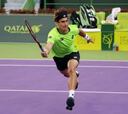 Ferrer se impone a Dolgopolov