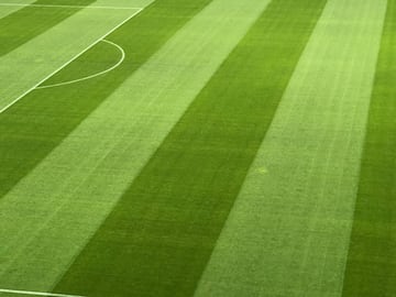 Así está el césped de Kaliningrado a 24 horas del partido de España