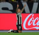 Botafogo 2-1 Palmeiras: goles, resumen y resultado