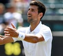 Djokovic barre a Pavlasek y evita el duelo con Del Potro
