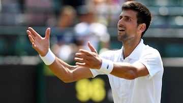 Djokovic barre a Pavlasek y Del Potro cae y sale de su camino