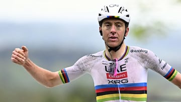 UAE Team Emirates' Slovenian rider Tadej Pogacar celebrates winning the men's "La Fleche Wallonne" one day cycling race (Waalse Pijl - Walloon Arrow), 205,2 kms from Ciney to Huy on April 23, 2025. (Photo by JASPER JACOBS / Belga / AFP) / Belgium OUT