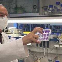 EL virologo Enjuanes pide un "cierre fuerte y a corto plazo" para controlar la tercera ola del virus