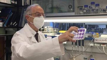 EL virologo Enjuanes pide un "cierre fuerte y a corto plazo" para controlar la tercera ola del virus