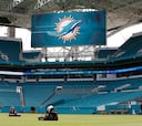 El Metropolitano será el hogar de los Dolphins en Madrid