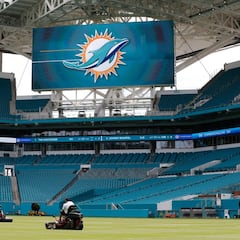 El Metropolitano será el hogar de los Dolphins en Madrid