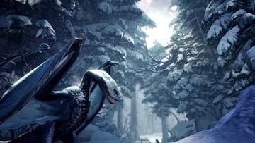 Capcom asegura que es el mapa m¨¢s grande del juego.