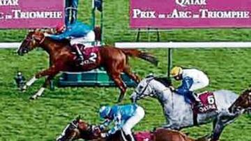 Bannaby, ayer en Longchamp.