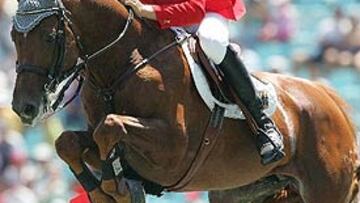<b>DOPAJE. </b>Goldfever, el caballo montado por el alemán Ludger Beerbaum, dio positivo en los Juegos Olímpicos de Atenas.