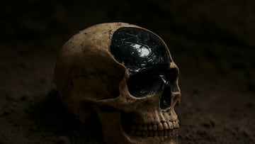 Skull and glass brain