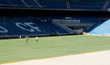 El césped del Santiago Bernabéu.