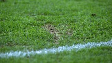 Detienen a un entrenador de f¨²tbol de Dos Hermanas por agresi¨®n sexual a ni?os