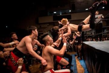 Las universidades japonesas no ofrecen este deporte a sus estudiantes así que éstos crean clubes de lucha libre donde aprenden a través de YouTube.