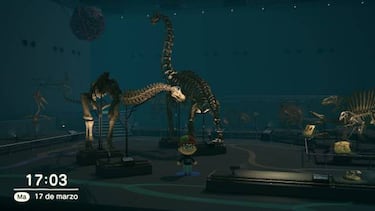 Por qué el Museo cobra tanta importancia en Animal Crossing: New Horizons