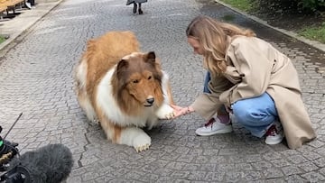 Vuelve el japonés que se gastó 13.500 euros en un disfraz de perro tras descubrirse el riesgo de su experimento