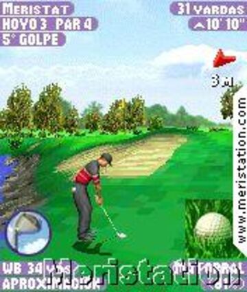 Captura de pantalla - tigerwoods_00014.jpg