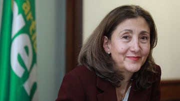 &Iacute;ngrid Betancourt, precandidata presidencial.