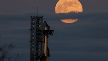 Sixth Starship flight test live