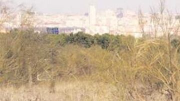 <b>PROYECTO SEDUCTOR. </b>El aficionado prefiere que el estadio esté en los terrenos de Venta de la Rubia, Alcorcón, antes que en La Peineta.