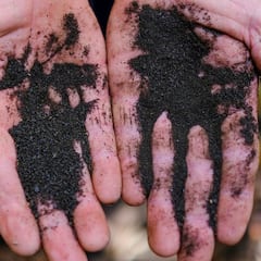 Por qué la tierra volcánica es más fértil y cuál es el papel de la ceniza y el piroclasto
