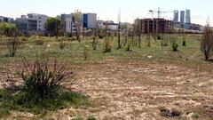 TERRENOS SOLAR PROPIEDAD DEL REAL MADRID EN LAS TABLAS CALLE VALCARLOS